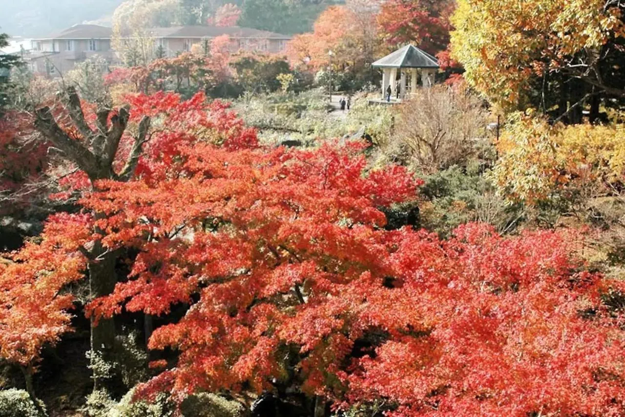 Forest Villa Hakone - Vacation Stay 05424V Japan